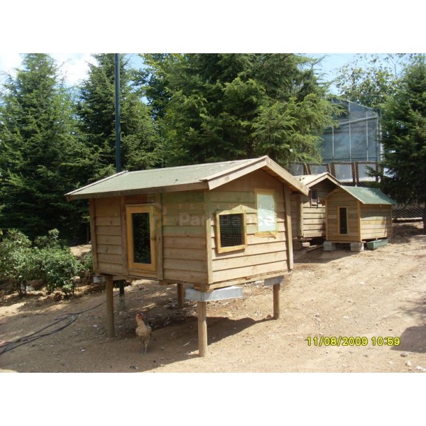 Ayaklı Tavuk Kümesi